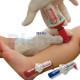 Pistola Intraosea Big